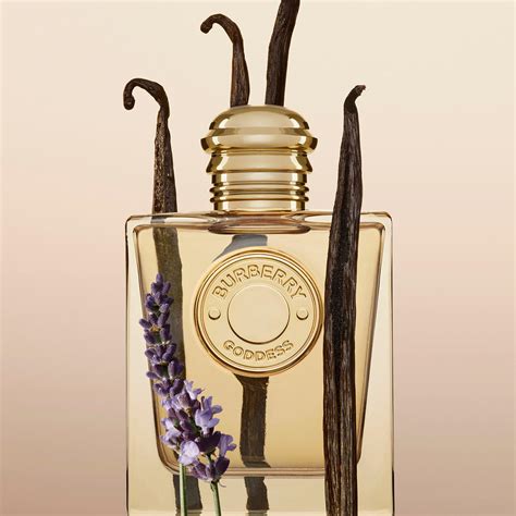 vanilla perfume burberry|burberry goddess 50 ml price.